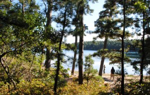 Plan Ahead: Nickerson State Park In Brewster, MA